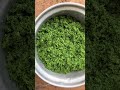 Cooking Cassava leaves for family #fyp #fy #america... #Shorts #african.nyako
