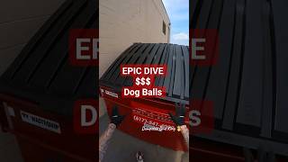 Dog balls and so much $$$ part 1 of 2 😲 DONT MISS THIS