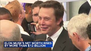 Celebrity Elon Musk's net worth rises after Donald Trump's election victory Profile