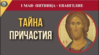 Единственный путь к вечной жизни: о чем говорит 6-я глава от Иоанна. Евангелия 1 мая
