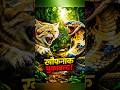 जंगली बिल्ली VS सांपों का राजा कोबरा। 😱😱 #animalshorts #forest #animals  #shorts #natureanimal