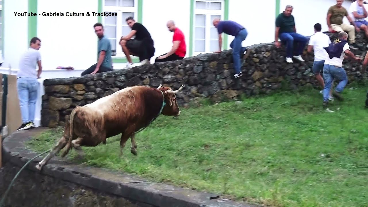 Porto Martins - Tourada & Largada à Moda Antiga - Touros Ganadaria ER (405,437,443,458) - 24/9/2025