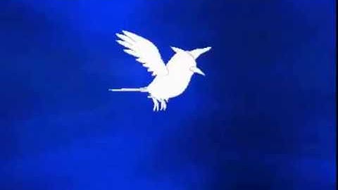 Fletchinder Evolves Into Talonflame (Pokemon X)