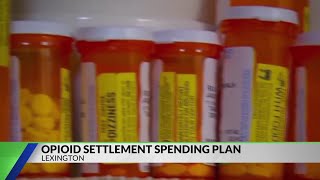 Lexington council sets aside opioid settlement funds as state awards millions