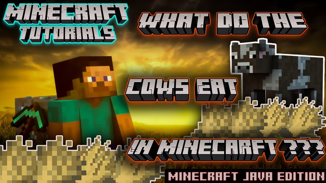 What Do The Cows Eat In Minecraft YouTube What Do The Cows Eat In Minecraft YouTube