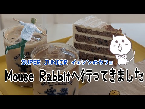 super junior イェソン mouse rabbit パーカー Vlog#165年ぶりの韓国