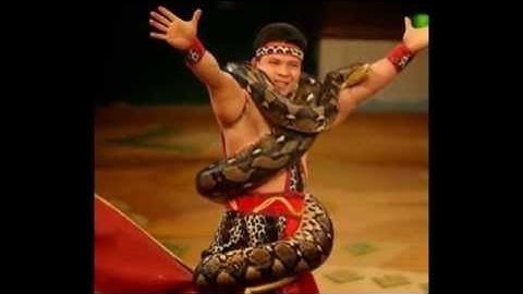 dịch vụ xiếc khỉ 0975272627 Biểu diễn xiếc trăn, dịch vụ xiếc trăn 0975272627