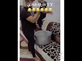هههههههههه مقلب الجدار ههههههههه 