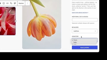 WordPress 6.3 - Image Lightbox