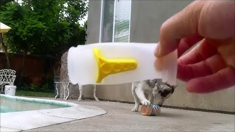 Changing the Diaphragm in a Zodiac T3, T5 Cleaner