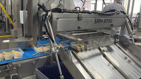 【蒸煎饺生产线】#dumplings #productionline #dumplingmaker #dumplingmakingmachine #automobile