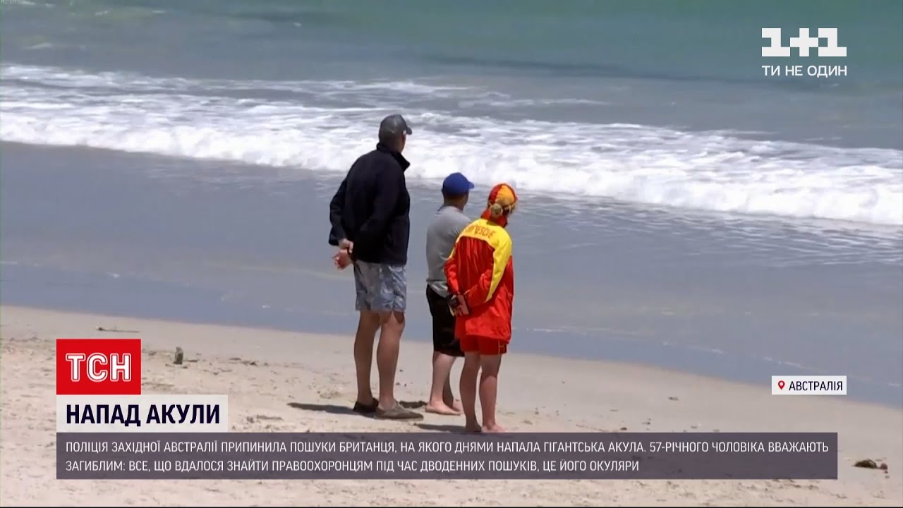 Акула напала на человека на мальдивах. Акула напала на австралийку.