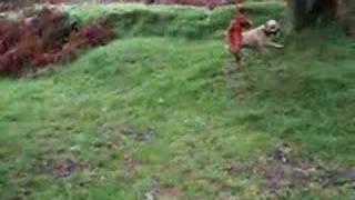 Champ On Ropeswing 2