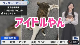 大島璃音のアイドルやん【ウェザーニュース切り抜き】