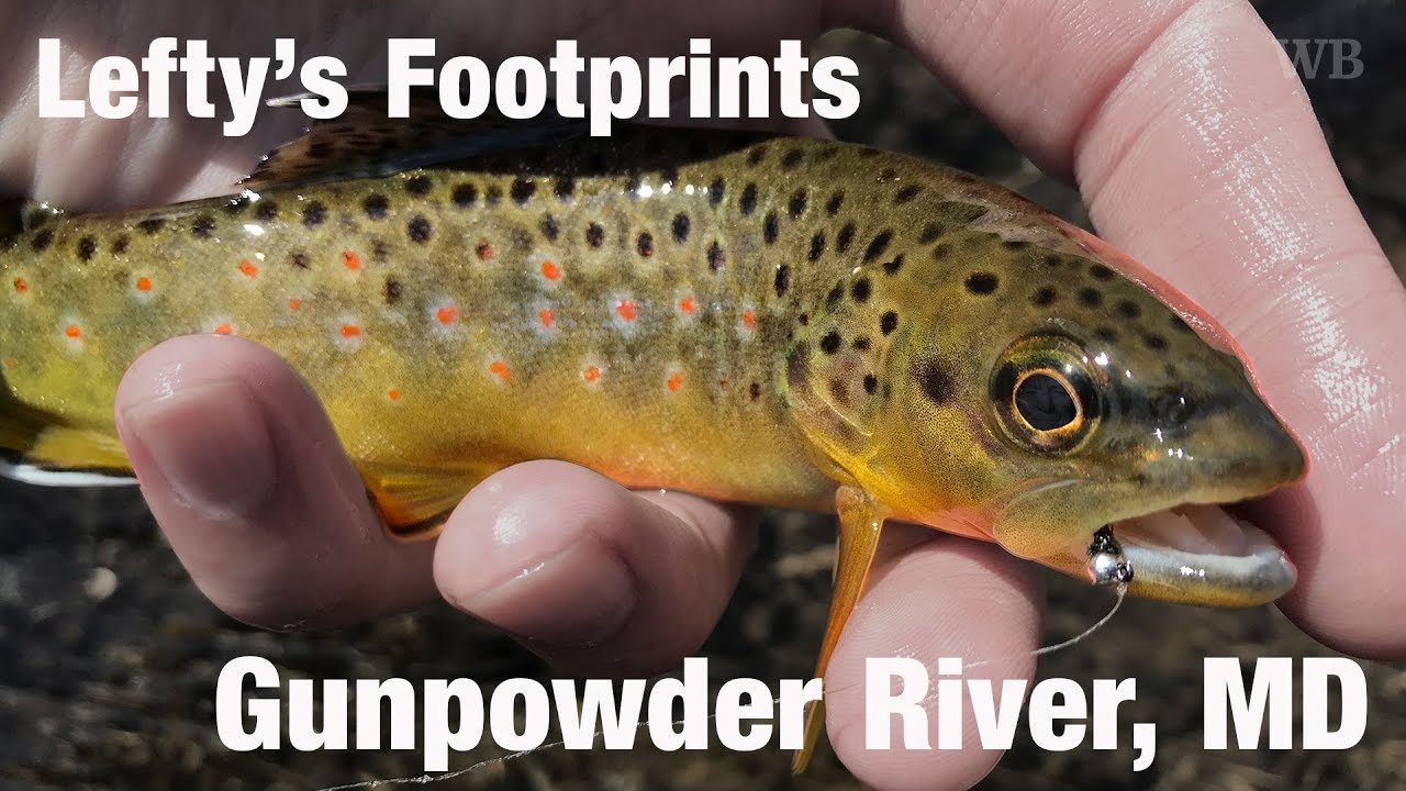 Fly Fishing Lefty's Footprints, Gunpowder River, MD - Wooly Bugged