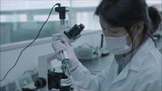 Curecode Products Showed Well-Ordered Maltese Cross Texture.