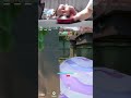 @GovernorVal is dominating in ranked #valorant #valorantclips #trending