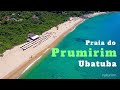 🔴 PRAIA DO PRUMIRIM, UBATUBA, Litoral norte SP num belo vídeo em mais uma produção NATURAM.