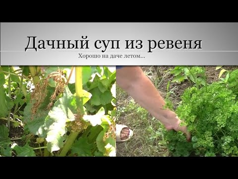 Видео рецепт Суп из ревеня с мясом