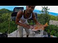 Jamaica Sunrise TV | Snapper Catch N’ Cook