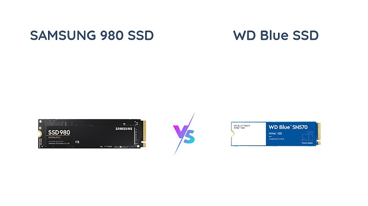 So sánh ssd samsung và wd blue năm 2024