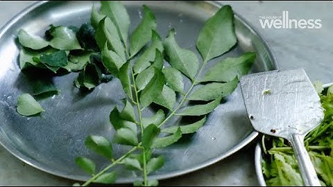 The role of plant based supplements in modern nutrition