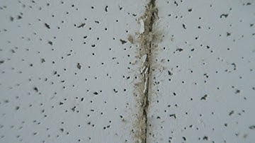 How to cut ceiling tile without a mess