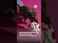 🐶⚽ El Mundial 2026 ya empieza a sentirse… incluso en 4 patas.