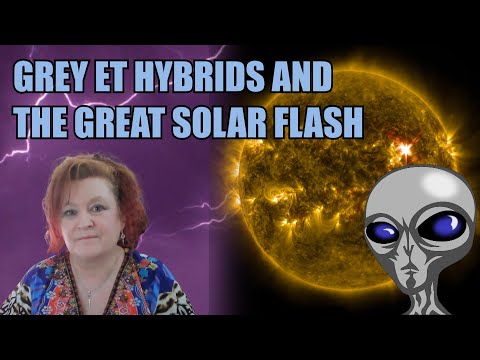 Grey ET Hybrids and the Great Solar Flash