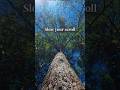 Slow Your Scroll │Nothing is Urgent #anxietyrelief #stillness #stressrelief #relax #peace #mindful