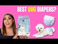 Best Disposable Dog Diapers Review 🐶 Super Absorbent & Comfortable Fit!