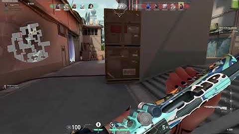 Bucky quad/collateral EZPZ