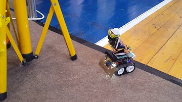 Pixy pet robot is watching a flower