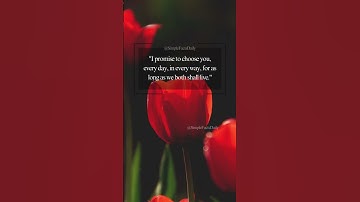 Heartfelt Promises Quotes!! PT27 #shorts #promise #commitment #love #soulmate #lovequotes #cherish