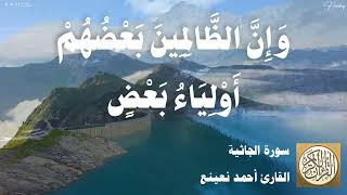 045 أحمد نعينع - سورة الجاثية