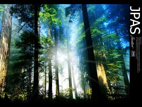 วิธีทําแสงออร่า photoshop New Photoshop - เทคนิคการทำแสงเทียม Light Rays แบบย้ายตำแหน่งได้ ง่ายยิ่งกว่าง่าย by JackiePixart