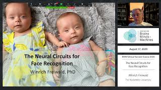 The Neural Circuits for Face Recognition Profile