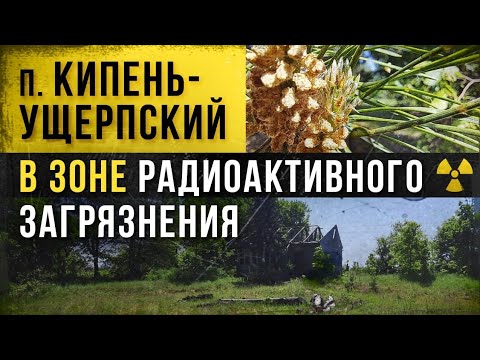 ☢ Кипень-Ущерпский в зоне радиоактивного загрязнения.