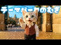 【社畜ねこのむぎ】ようこそ!! テーマパークのキャストさんになったむぎの一日に密着🐱🎢