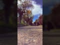 شكام ميقعدش دقيق