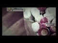 نخبي ليه وائل جسار 