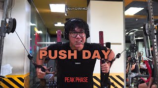 DAILY GYM VLOG #62 l PUSH DAY l I'M BACKK l