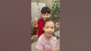 Trời nắng chang chang #funny