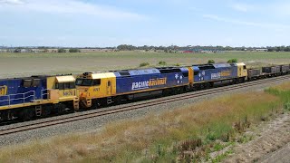 4PM4 Pacific National Steel Train With AN3 & AN1 At Gheringhap Loop (17/12/2023) - PoathTV by PoathTV - Australian Trains 49 views 2 days ago 1 minute, 8 seconds