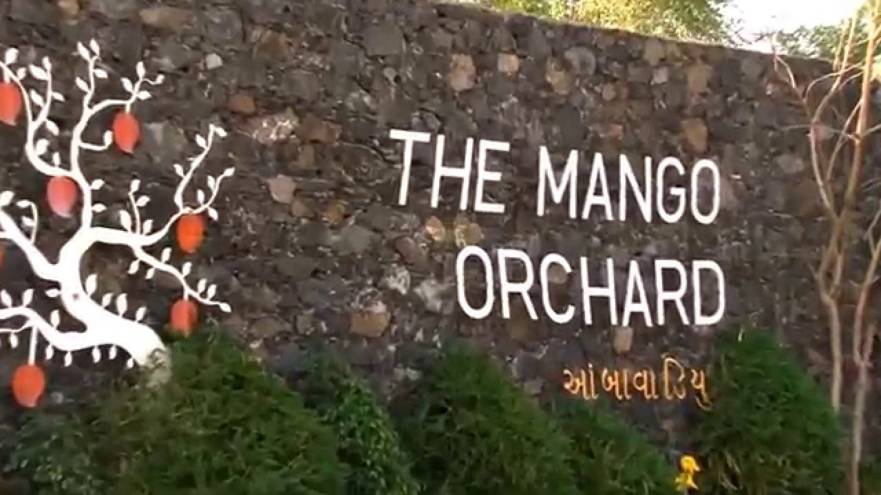 THE MANGO ORCHARD YouTube