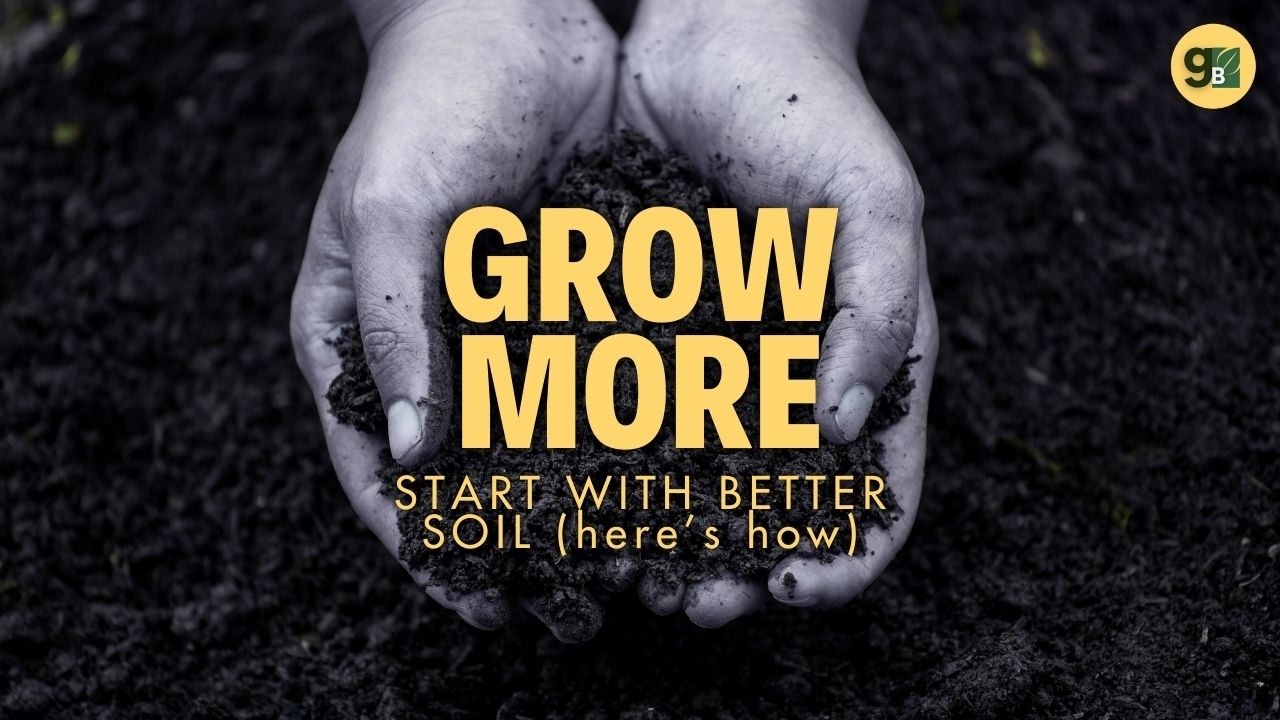 How to Improve Your Garden Soil - YouTube