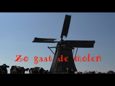 Video: Gids naar de molens van Amsterdam