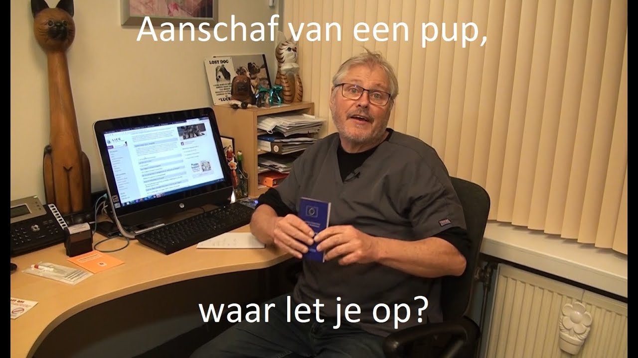 Aanschaf van een pup, waar let je op