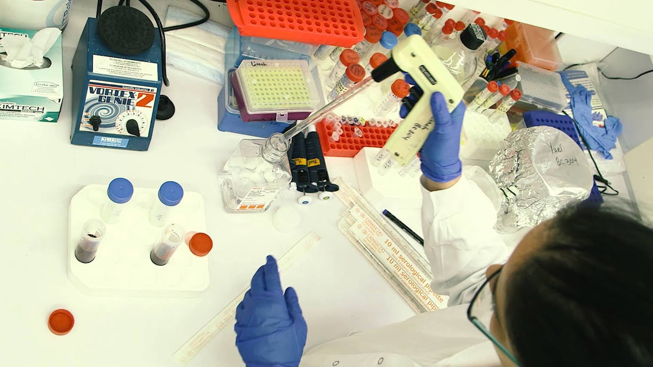 Preventing Cancer: The Weizmann Institute's Moross Integrated Cancer Center