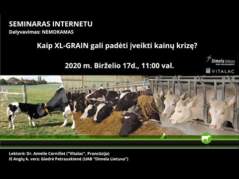 Video: Kaip įveikti Trejų Metų Krizę